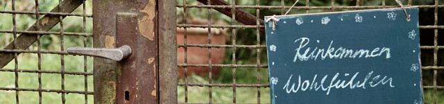 Zeitfenster header image