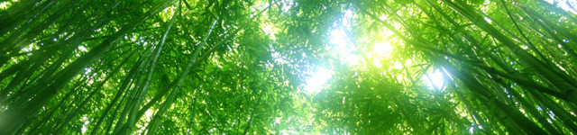 Zeitfenster Rotating Header Image